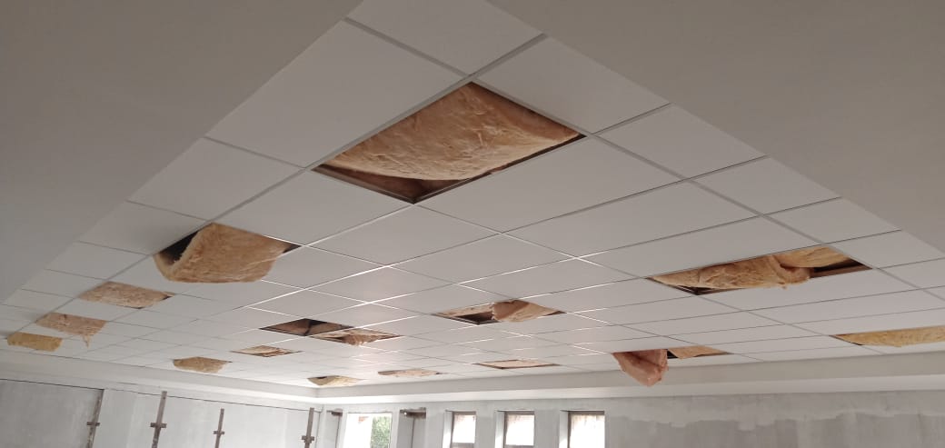 Acoustic Ceilings