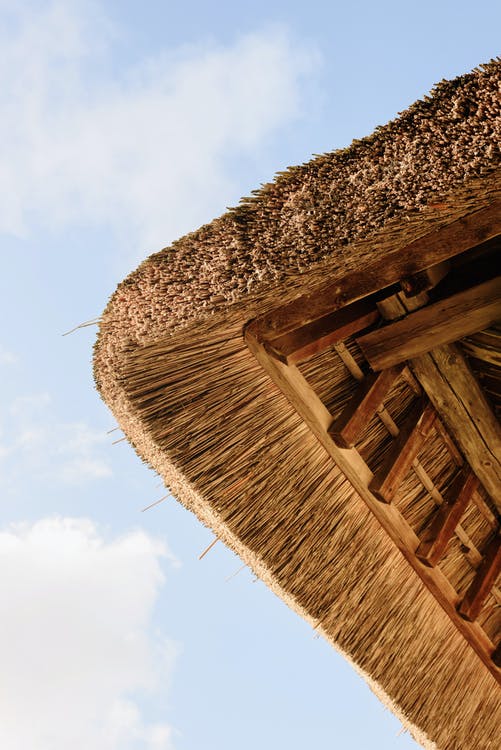 Thatch Roof